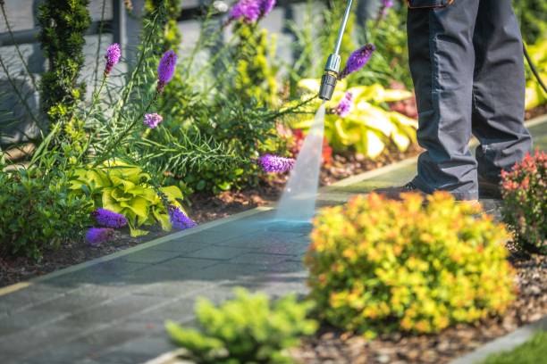 Best Soft Washing for Delicate Surfaces in Morgans Point Resort, TX